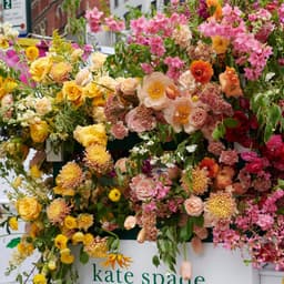 Divvy - Transport design work cover image