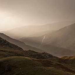 Brown & Brown - Build design work cover image