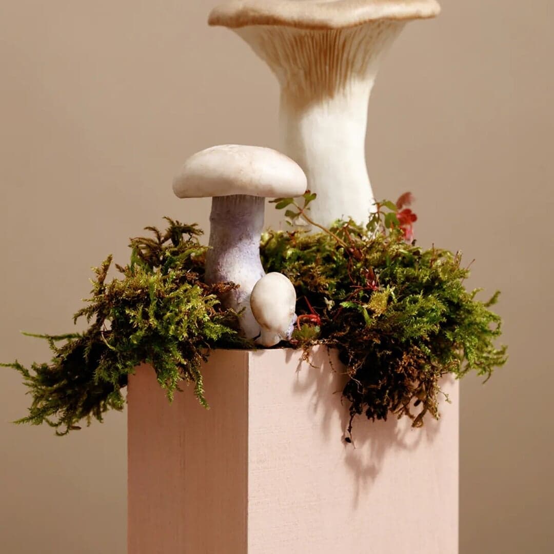 Brand Identity For Botanist Restaurant At Fairmont Pacific Rim