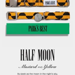 A Design-driven Dog Brand That Unites Fashion And Utility cover image