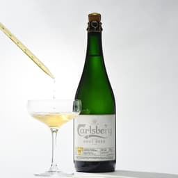 Carlsberg - Everland design work cover image