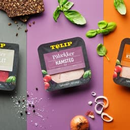 Tulip's Brand Redefinition cover image