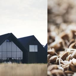 Three Is A Crowd. Nine Is Magic. cover image