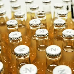 In Harmony With Nature cover image