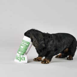 Brand Development For An Innovative Pet Food Company cover image