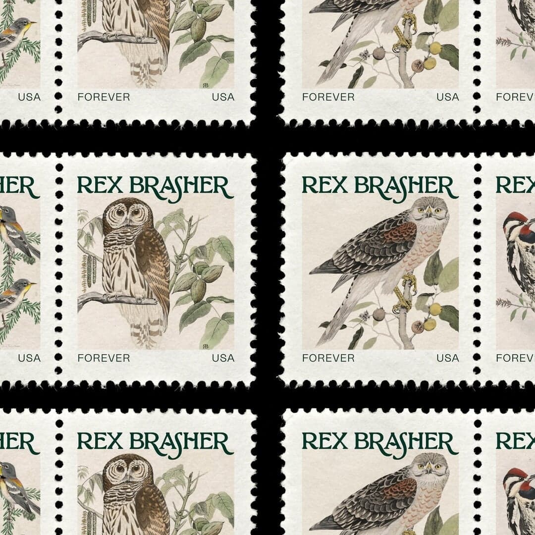 Identity Design For The Rex Brasher Association