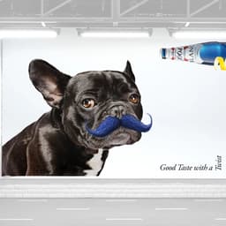 Advertising Campaign Reinvention For Kronenbourg 1664 Blanc cover image