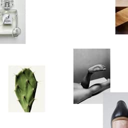 Publication Design For Artist Johan Tappert cover image