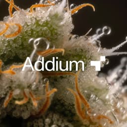 Addium  - Accept & Proceed design work cover image