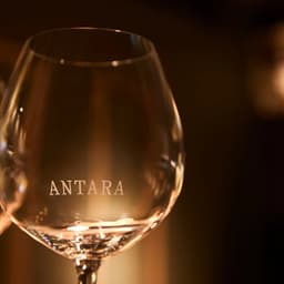 Brand Development And Design For Antara 128 Bakery And Restaurant  cover image