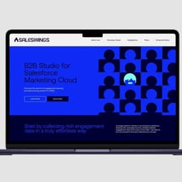 Brand Narrative And Identity For Saleswings  cover image