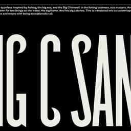 Brand Identity Redevelopment For A Premier Charter Service cover image