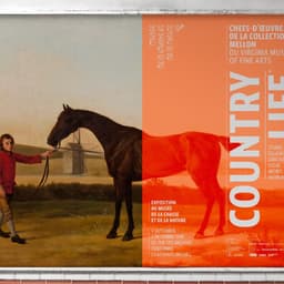 Visual Identity For Musée De La Chasse Et De La Nature cover image