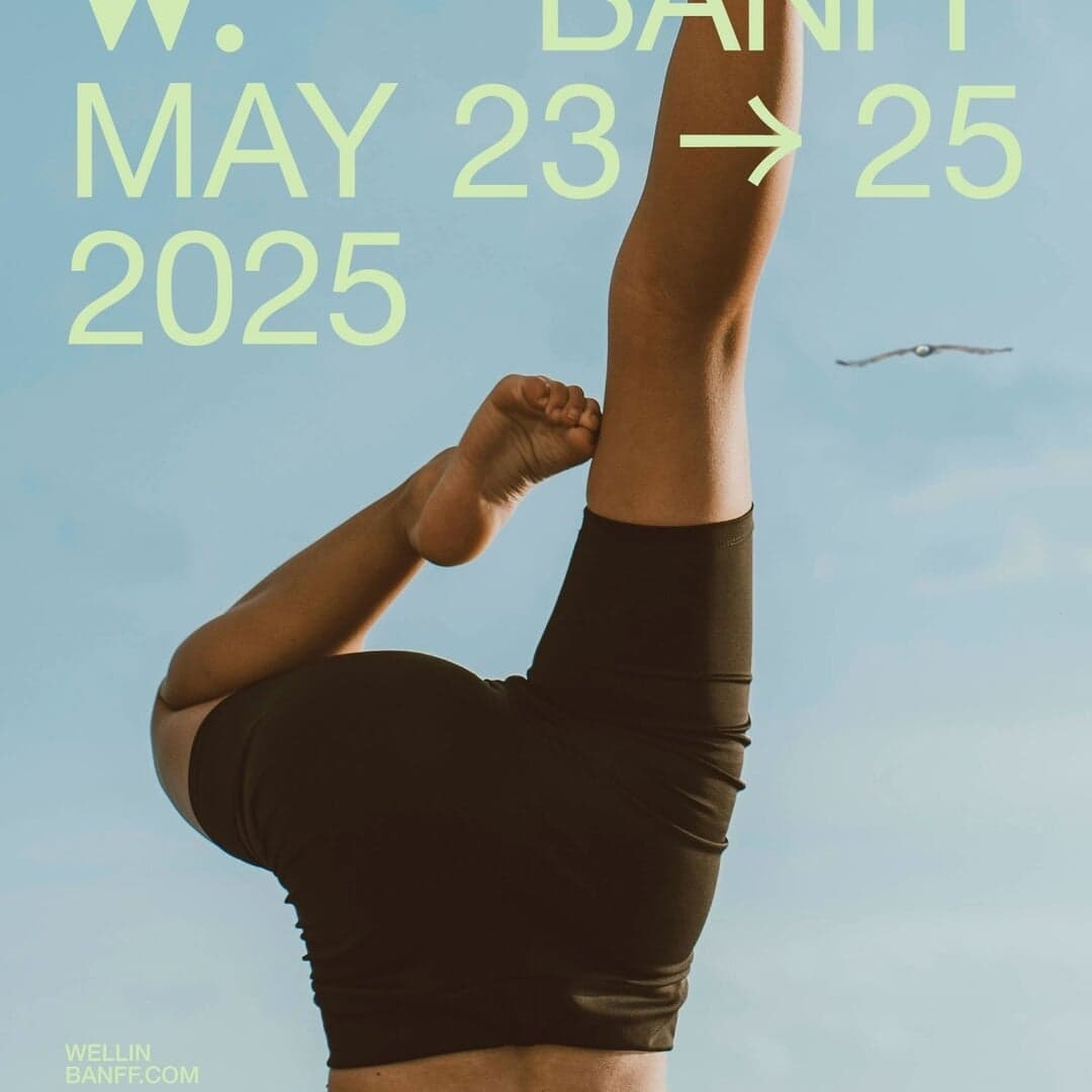 Brand Identity For Toad Architecture