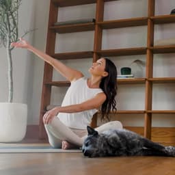 Brand Identity For Raptive Rebrand cover image