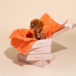 Brand Development For A Dog Treat Subscription Service cover image