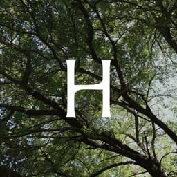 Developed A Bespoke Typeface For A Traditional Carpentry Company  cover image