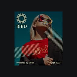 Bird - OHMY design work cover image