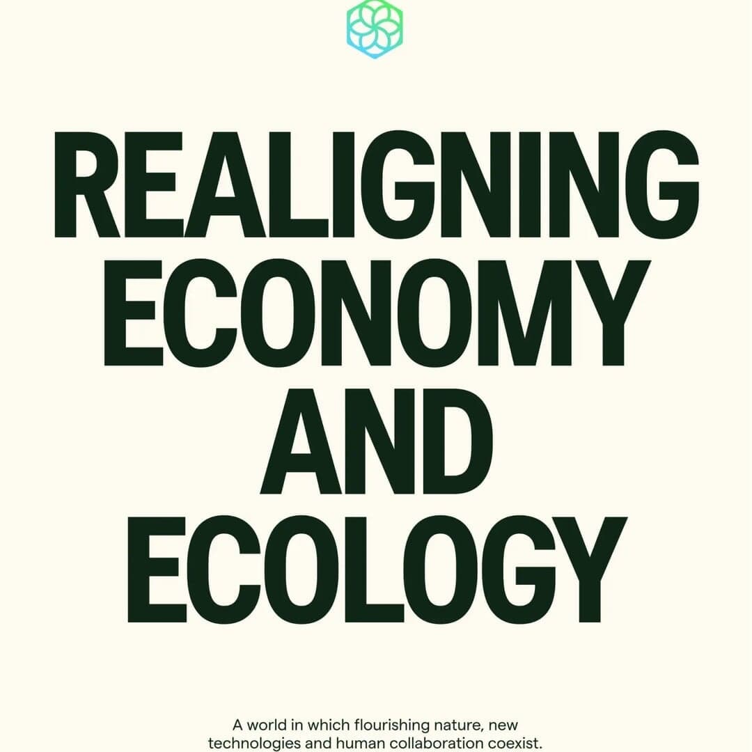 Brand Identity And Website Design For Pachama