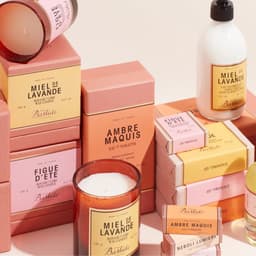 Branding And Packaging For A Beauty Pioneer cover image