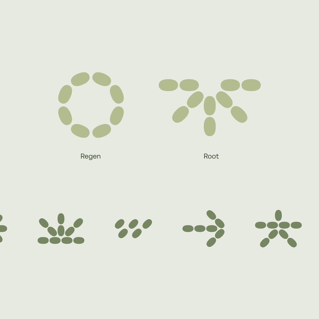 Brand Identity And E-commerce Website For Imio