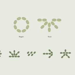 Branding Sustainable Agriculture With Microbes  cover image