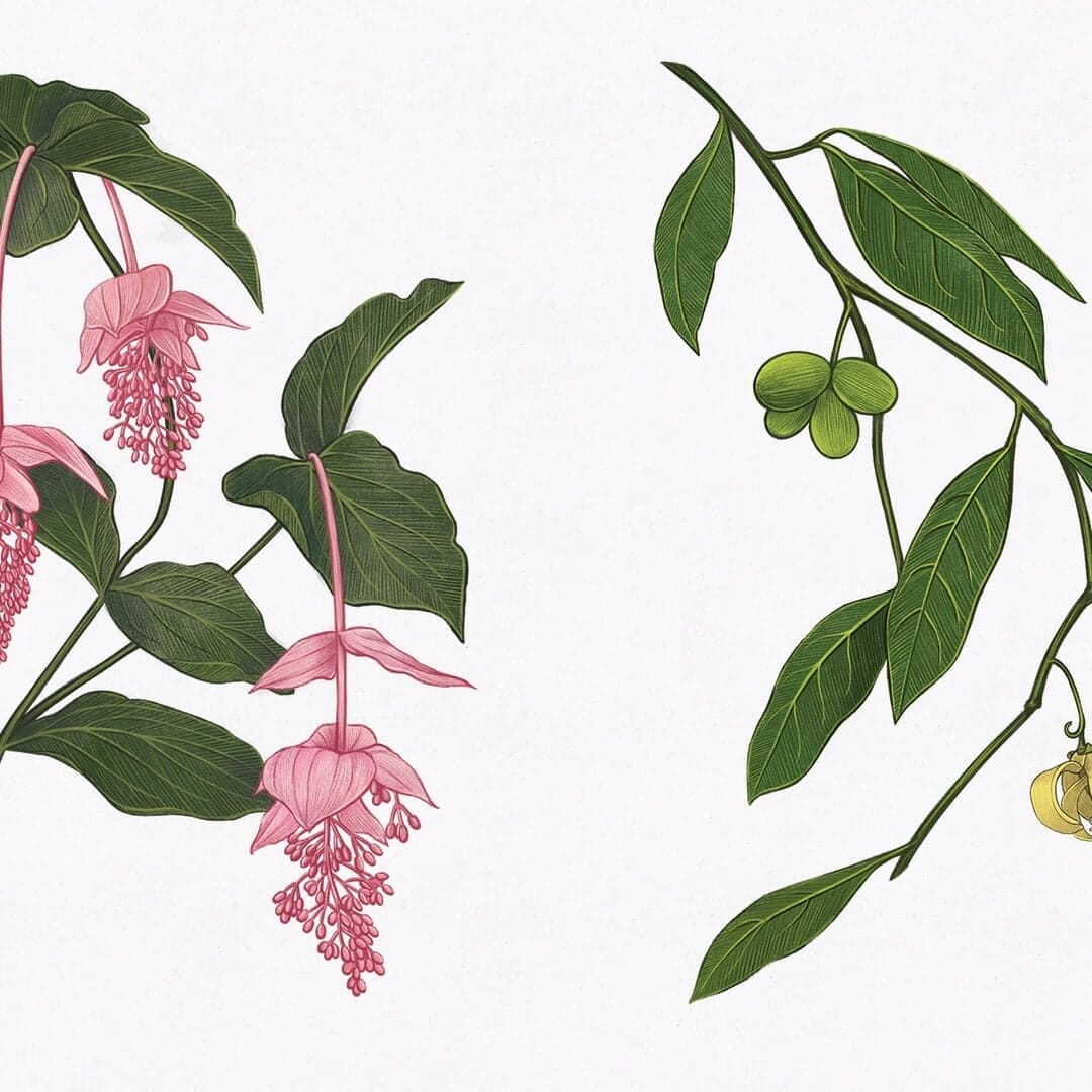 Editorial Publication Design For K11 Musea