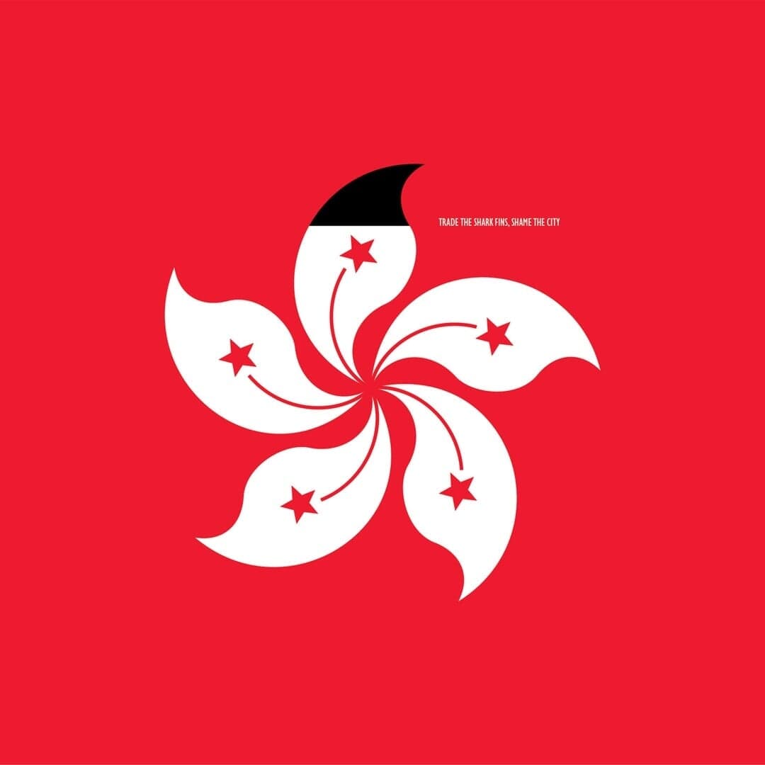 Poster Campaign For Shark Conservation Awareness