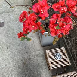 Brand Identity And Packaging For Luxury Hotel Bars  cover image