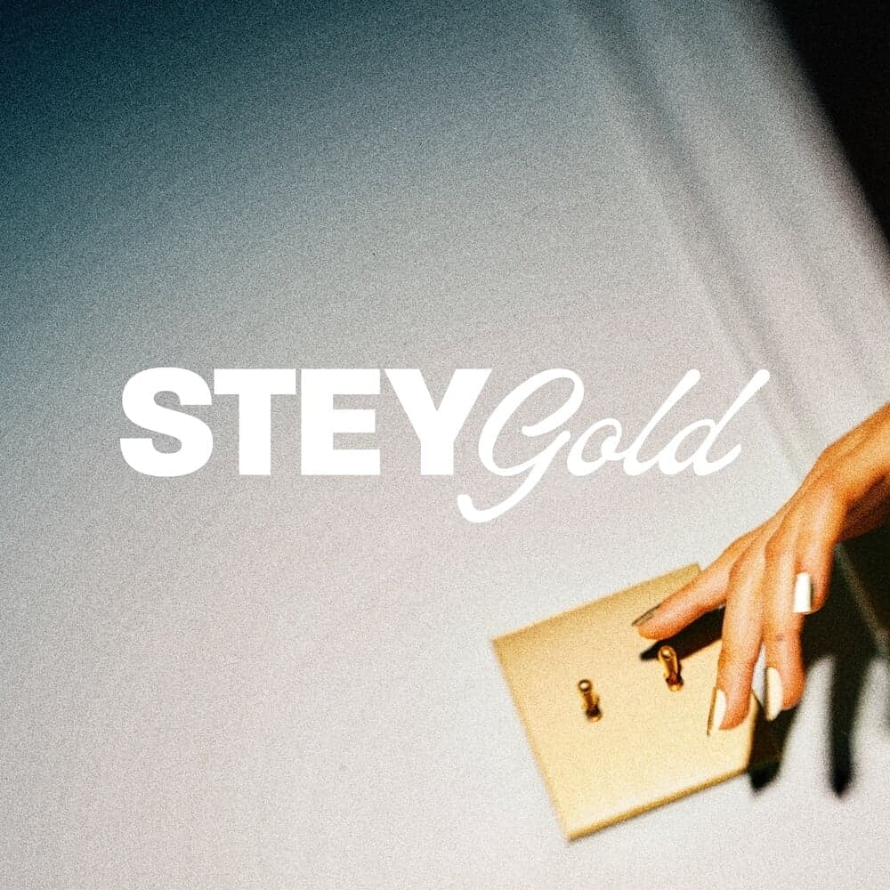 Brand Identity For Stey Gold Luxury Nail Brand