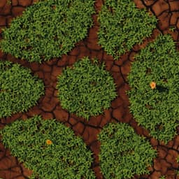 Brand Identity And Website For A Soil Regeneration Company cover image