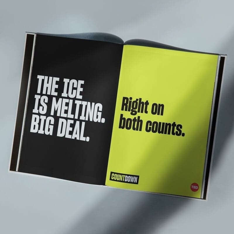 Branding And Campaign For Ted Countdown