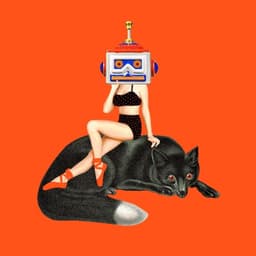 Naming And Brand Identity For Baboon Travel Bags cover image