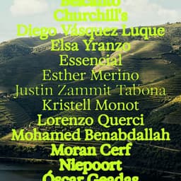 Visual Identity For Host Douro Event cover image