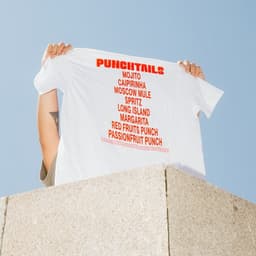 Brand Identity For Punchtails Cocktail Brand cover image