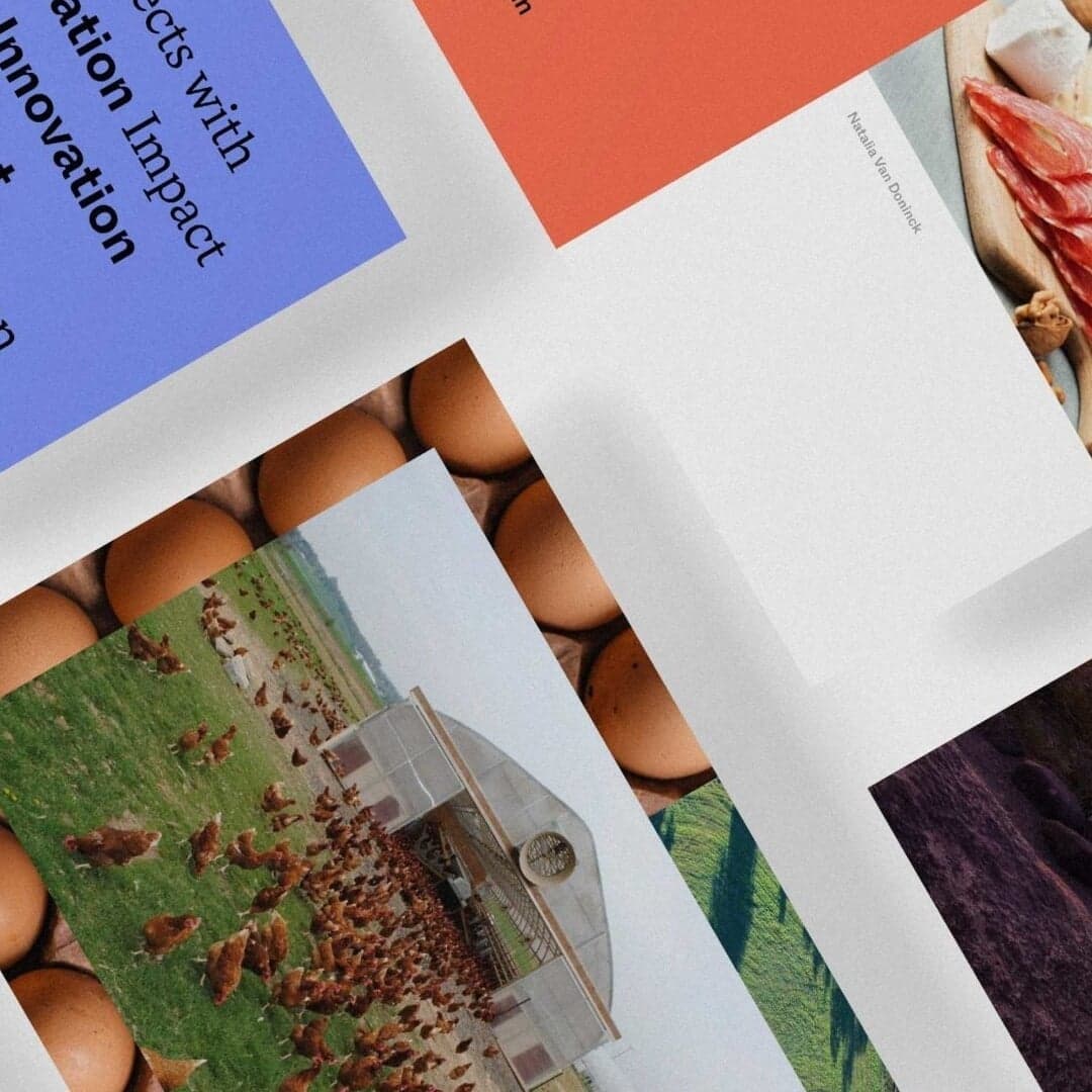 Brand Identity And Digital Platform For The Counter