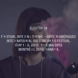 Campaign And Digital Experience For Elektra 2013 Festival cover image