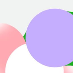 Branding For A Japanese Street Food Festival cover image