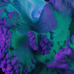 Event Video Direction For C2 Montreal 2022 cover image