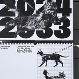 Print Design For Catlendar 2024 cover image