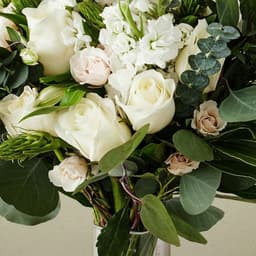 Brand Transformation For Ftd cover image