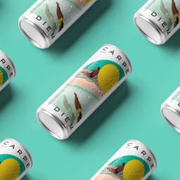 Brand Identity And Packaging For Carpe Diem Wine Spritzers cover image