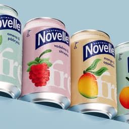 Brand Identity And Packaging For Novelle Fresh cover image