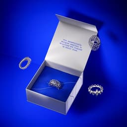 Brand Identity And Packaging For A Parametric Jewelry Brand cover image