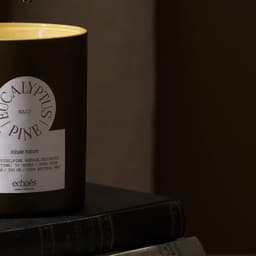 Echoes - Born design work cover image