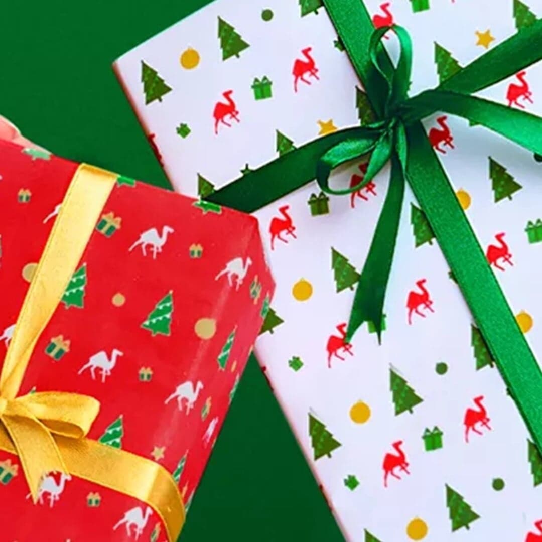 Festive Campaign For Kokuyo Camlin