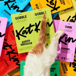 Brand Identity And Packaging For Katkin Cat-care Brand cover image
