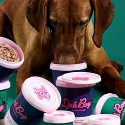 Dohboy - Chenchen design work cover image