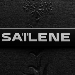Brand Identity For Saïlene Performance Accessories cover image
