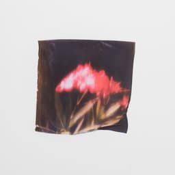 Vinyl Packaging For Postcards From Nowhere - thumbnail 1